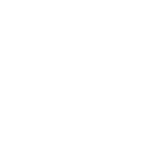 Neema Bank